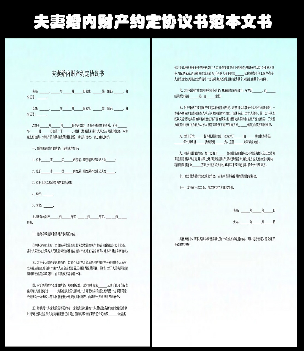 夫妻财产约定协议书怎么写,范本,范文,标准格式