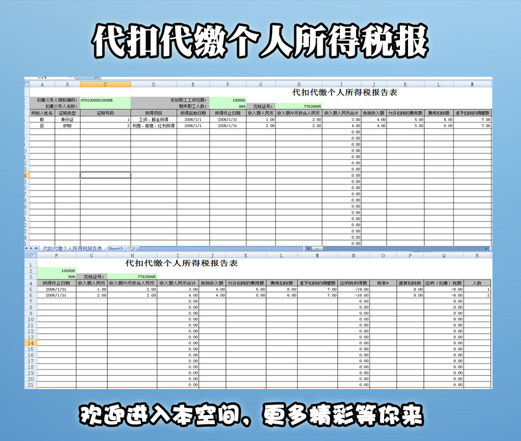 申报个人所得税的代扣代缴中的1003009是什么