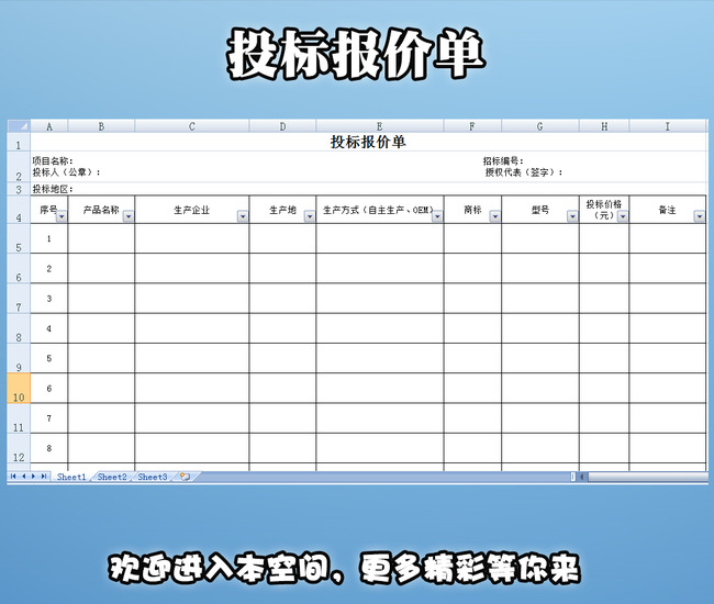 能帮我搞一份投标用的财务报表,中小型企业的