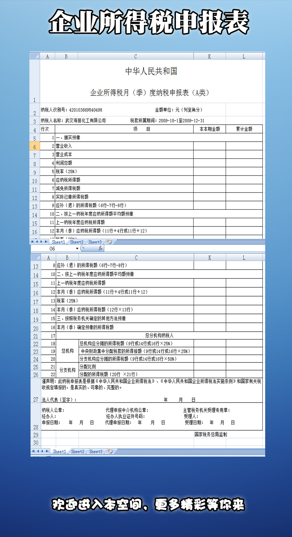 怎么在国税网打印所得税申报表?-如何将国税网