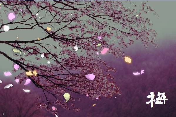 花飞花落花满天特效模板下载(图片编号:96533