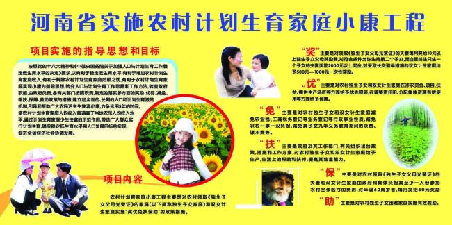 河南省实施农村计划生育家庭小康工程模板下载
