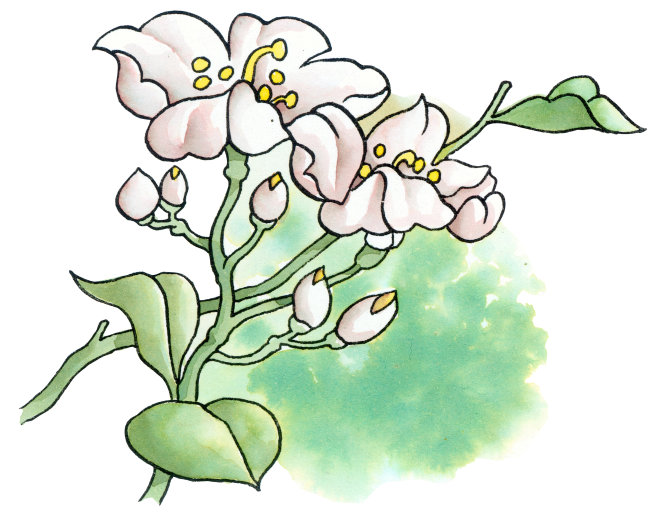 白玉莲花插画 图片作品是设计师在2010-05-07 14:27:51上传到我图网,图片编号为1020491,图片素材大小为3.07M,软件为,图片尺寸/像素为尺寸:2955×2360 像素,颜色模式为模式:RGB。被素材作品已经下架,敬请期待重新上架。 您也可以查看和白玉莲花插画 图片相似的作品。