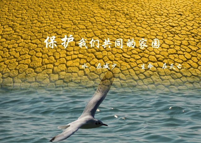 珍惜水资源模板下载(图片编号:1032100)_海报设计 | 夏日海报_海报设计|促销|宣传广告_我图网weili.ooopic.com