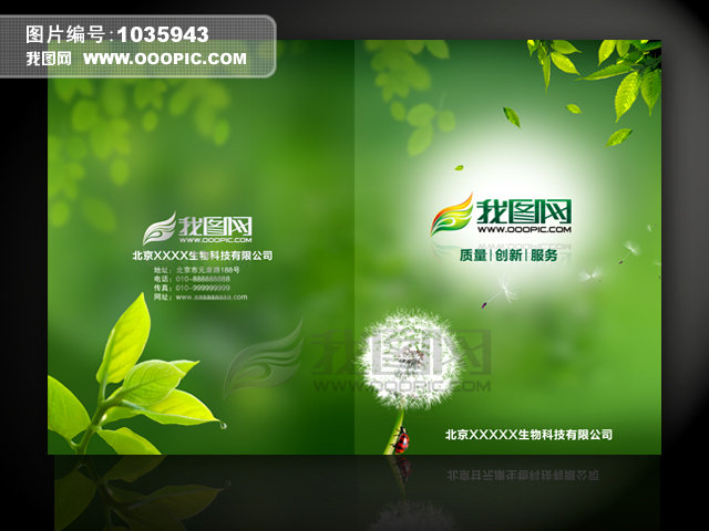 生物科技二折页封面封底 树叶 蒲公英图片