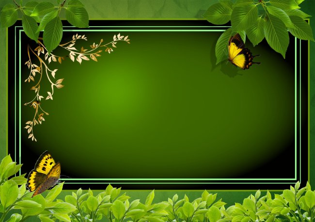 照片模板PSD下载