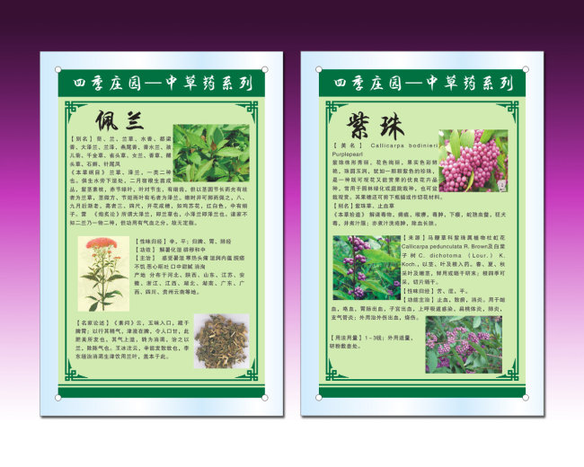 中草药介绍05