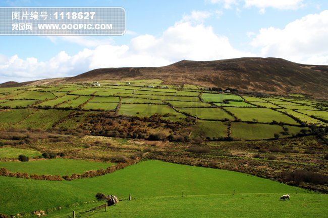 草地图片图片下载