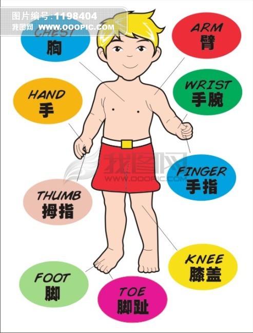 <em>人体</em> 部位 说明图模板<em>下载</em>(<em>图片</em>编号:1198404)