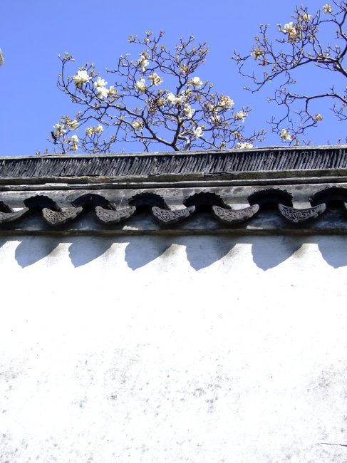 黛瓦粉墙模板下载(图片编号:1231652)_其他_其它图片|简历|档案|地震_我图网weili.ooopic.com