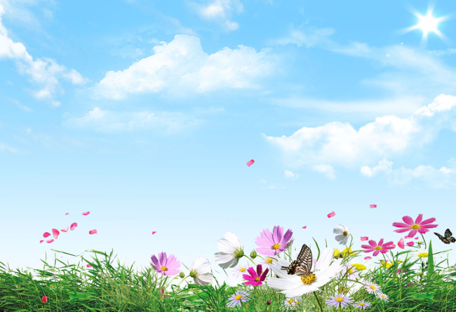 蓝天白云绿草鲜花背景图片