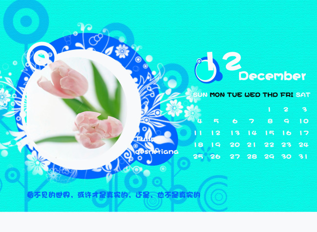 2011年新台历12月(郁金香)图片