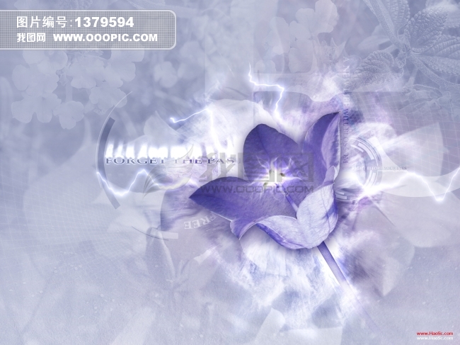 很漂亮的图片模板下载(图片编号:1379594)__背景图