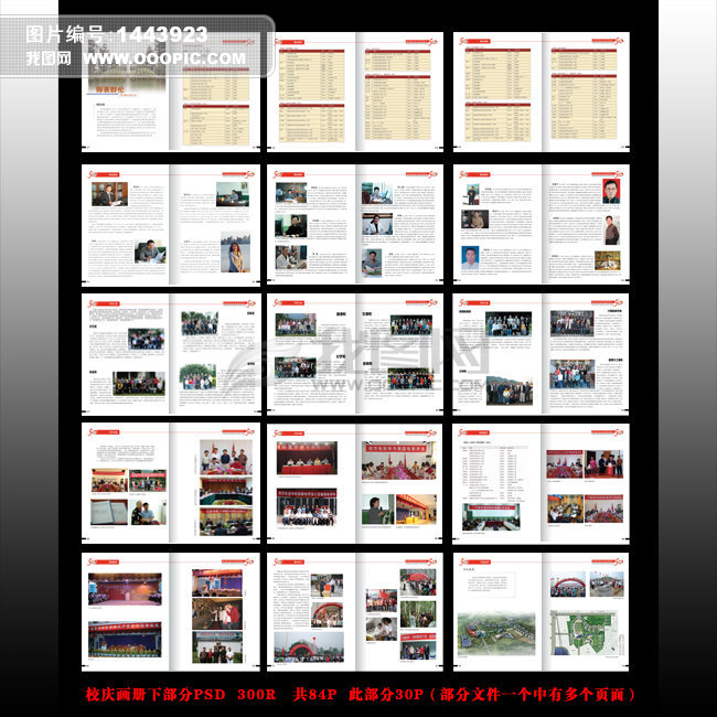 50周年大学庆典画册模板下载(图片编号:1443923)_教