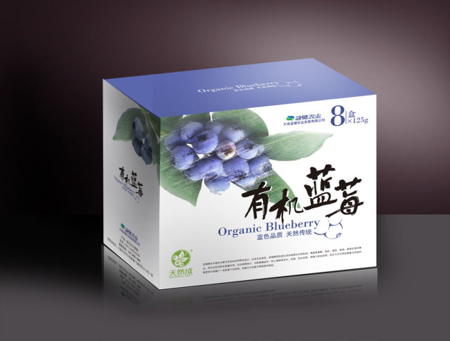 蓝莓包装模板下载(图片编号:10167436)_食品包