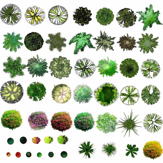 49种ps植物平面图