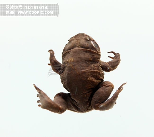 国家动物博物馆图片素材(图片编号:10191614