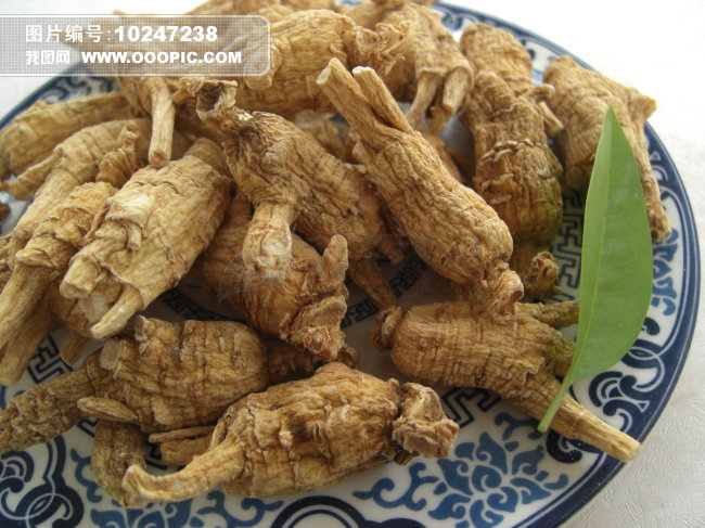 花旗参+西洋参+洋参