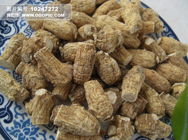 花旗参+西洋参+洋参图片下载