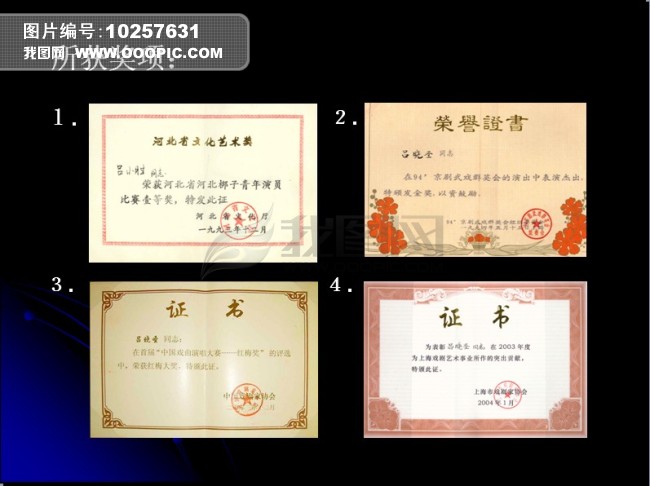 魔术表演活动方案模板下载(图片编号:1025763