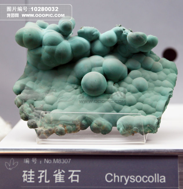 中国地质博物馆图片素材(图片编号:10280032