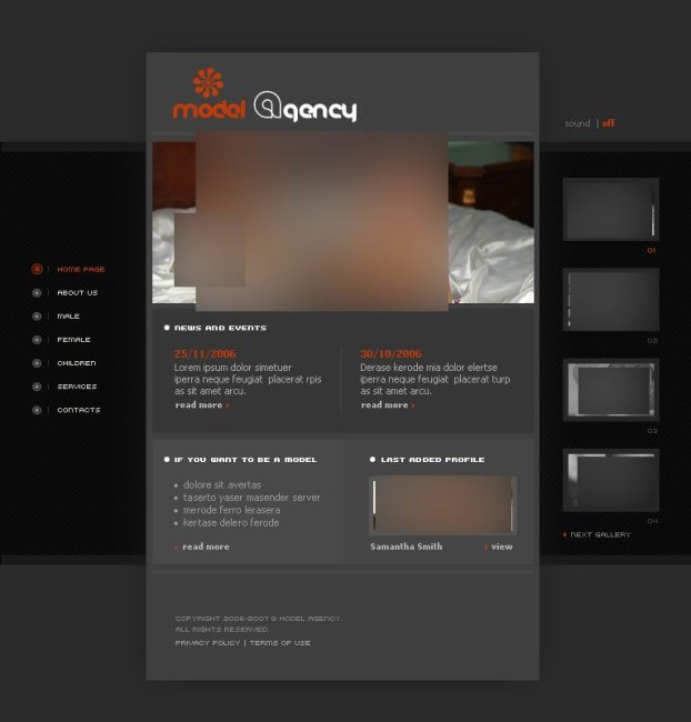 漂亮<em>模特</em>flash<em>网站</em>模板下载(图片编号:1028206