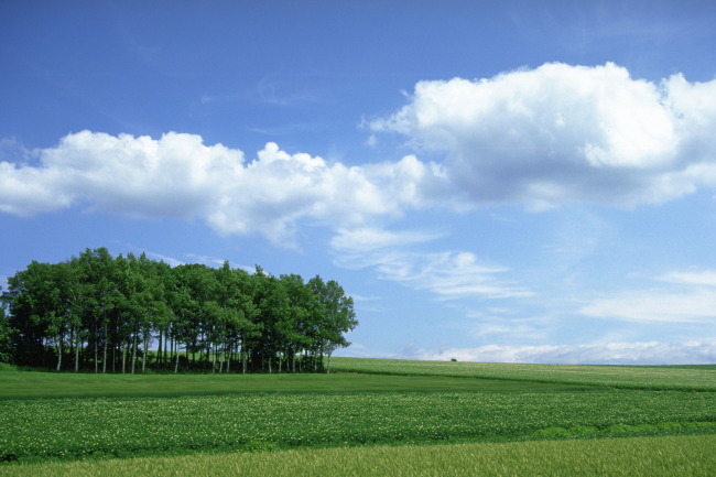 蓝天 白云 天空 草地 草原 田野模板下载(图片编