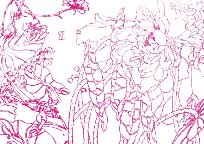 圣洁美丽荷花-美术画