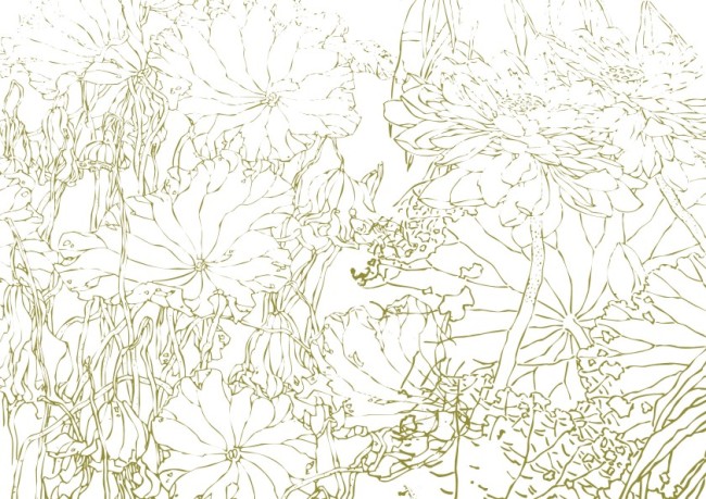 简笔画 钢笔画 线条画 美工画 手描画 插画 画 工笔画 国画 白描图图片