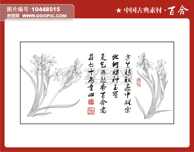 中国古典素材-百合图片