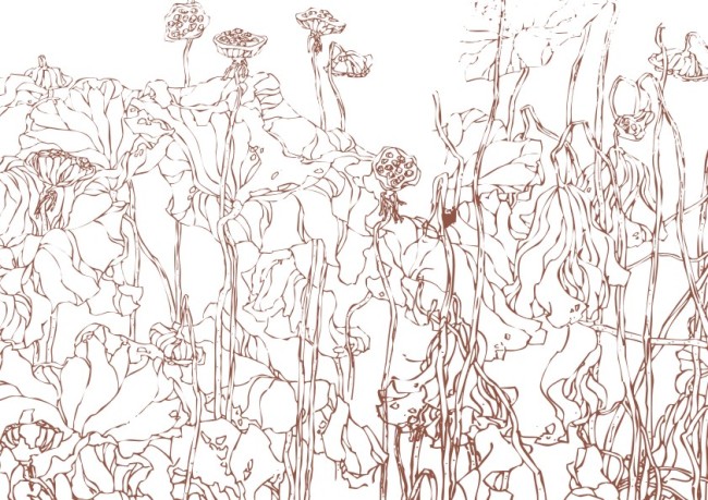 美工画 手描画 插画 画 工笔画 国画 白描图 古画 荷花 莲花 荷叶图片