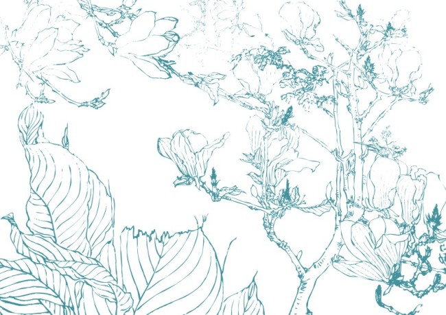 关键词:手工画 矢量 素材 绘画 白描画 素描画 手绘画 美术画 简笔画 钢笔画 线条画 美工画 手描画 插画 画 工笔画 国画 白描图 古画 花草植物 奇花异草 珍花秀草 鲜花 小草 野草 百花 说明:美丽花儿-古画