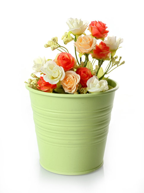 简约 装饰 鲜花 艺 盆栽 素材模板下载(图片编号:10458513)_其他_其它图片|简历|档案|地震_我图网weili.ooopic.com