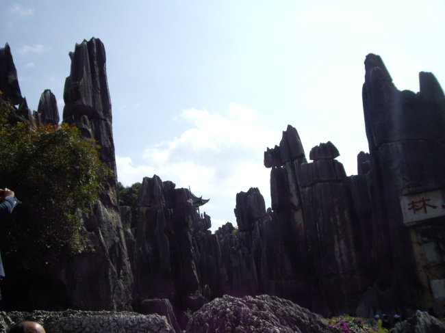 石林风景