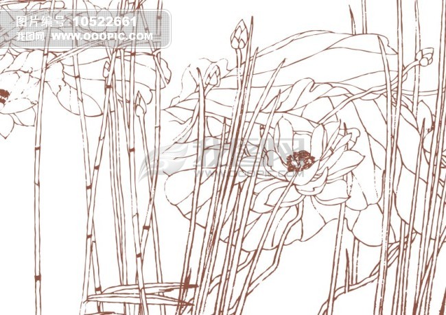 莲子花茎-美术画模板下载(图片编号:10522661