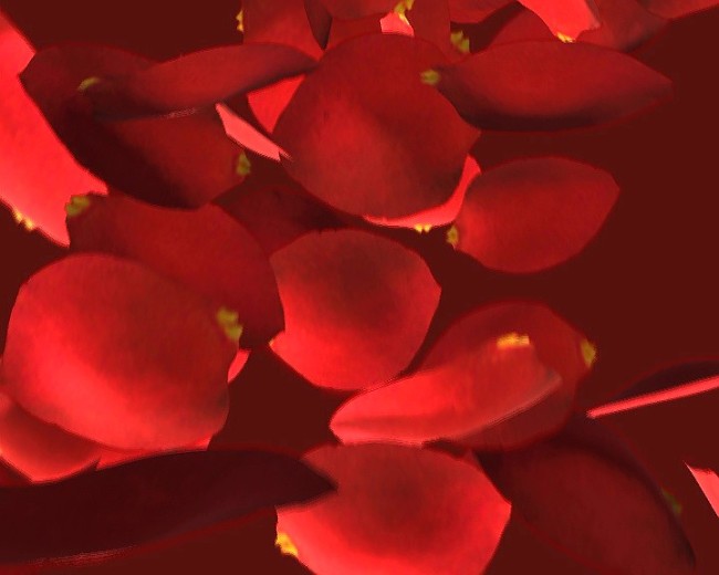 婚庆片头模板下载(图片编号:10524505)_动态|