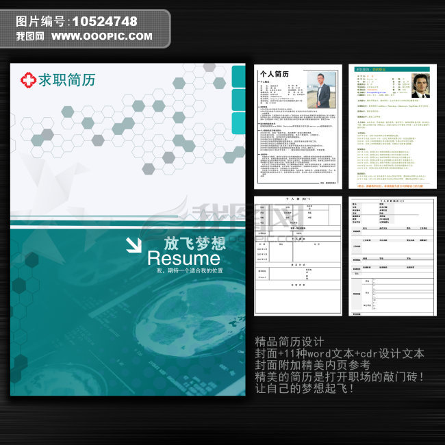 个人简历模板下载(图片编号:10524748)_其他模