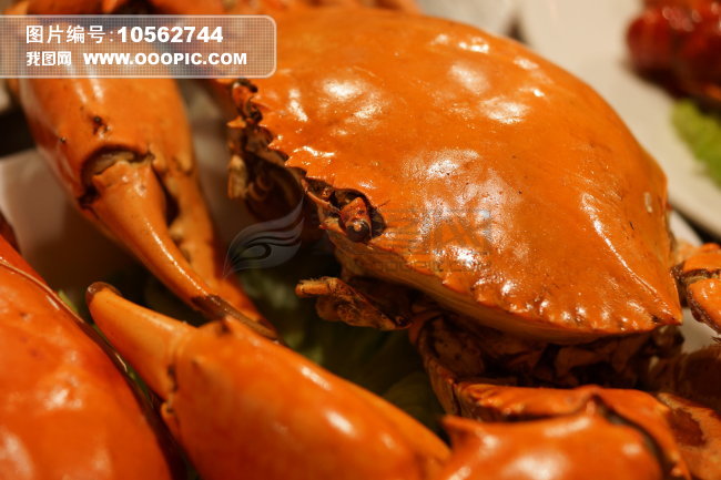 金黄诱人的大螃蟹图片下载