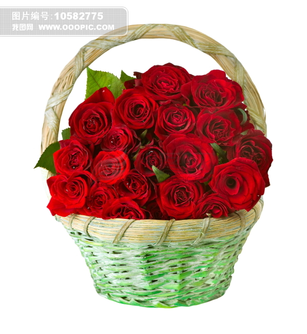 花篮花朵图片素材(图片编号:10582775)_植物