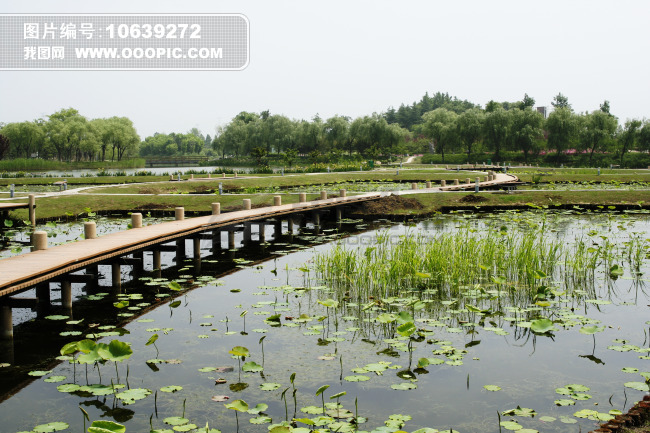 江苏泰州天德湖公园图片素材(图片编号:10639