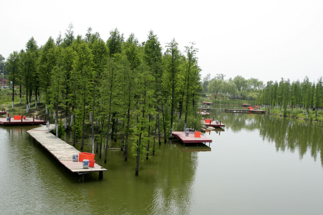 泰州天德湖你想去吗