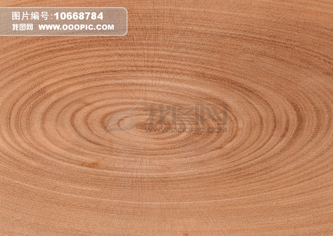 木板材质+贴皮材质图片素材(图片编号:106687