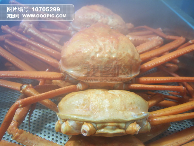韩国螃蟹图片素材(图片编号:10705299)_饮食图