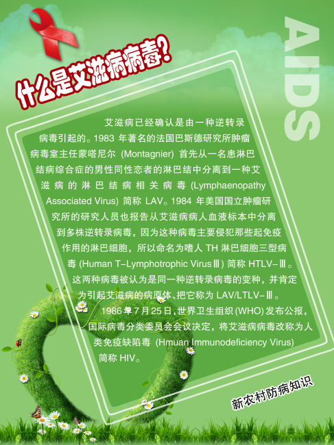 艾滋病 什么是艾滋病 艾滋病宣传模板下载(图片