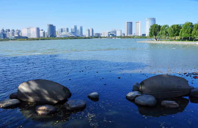 湖畔的城市