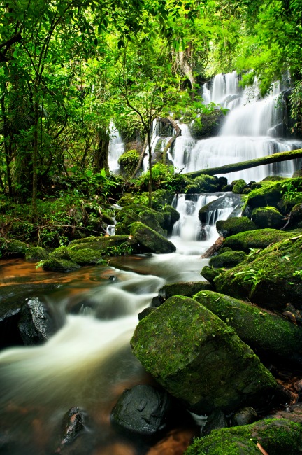 山里 溪流山间流水树林森林 精美风景 风景素材 风景壁纸 青山绿水