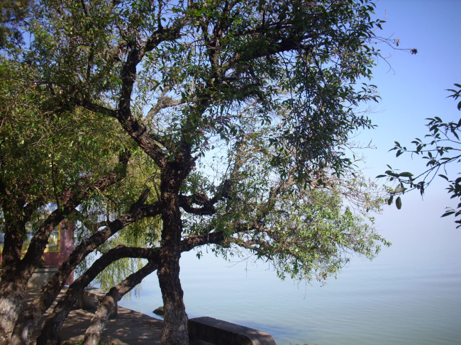 滇池湖畔模板下载 滇池湖畔图片下载 云南 昆明 湖 湖泊 滇池 风景