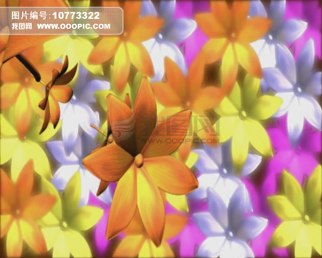 动态视频编辑素材模板下载(图片编号:1077332