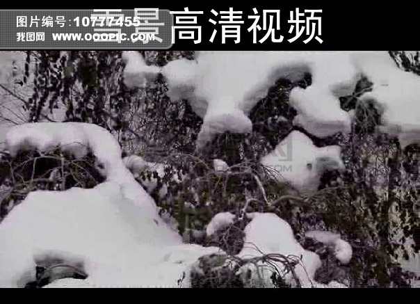 雪景高清视频模板下载(图片编号:10777455)_实