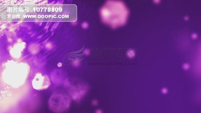 高清紫色粒子 水波粼粼 抒情唯美模板下载(图片编号:10778809)_动态视频素材_视频素材|片头片尾_我图网www.ooopic.com